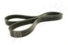ASHIKA 112-4PK1015 V-Ribbed Belts